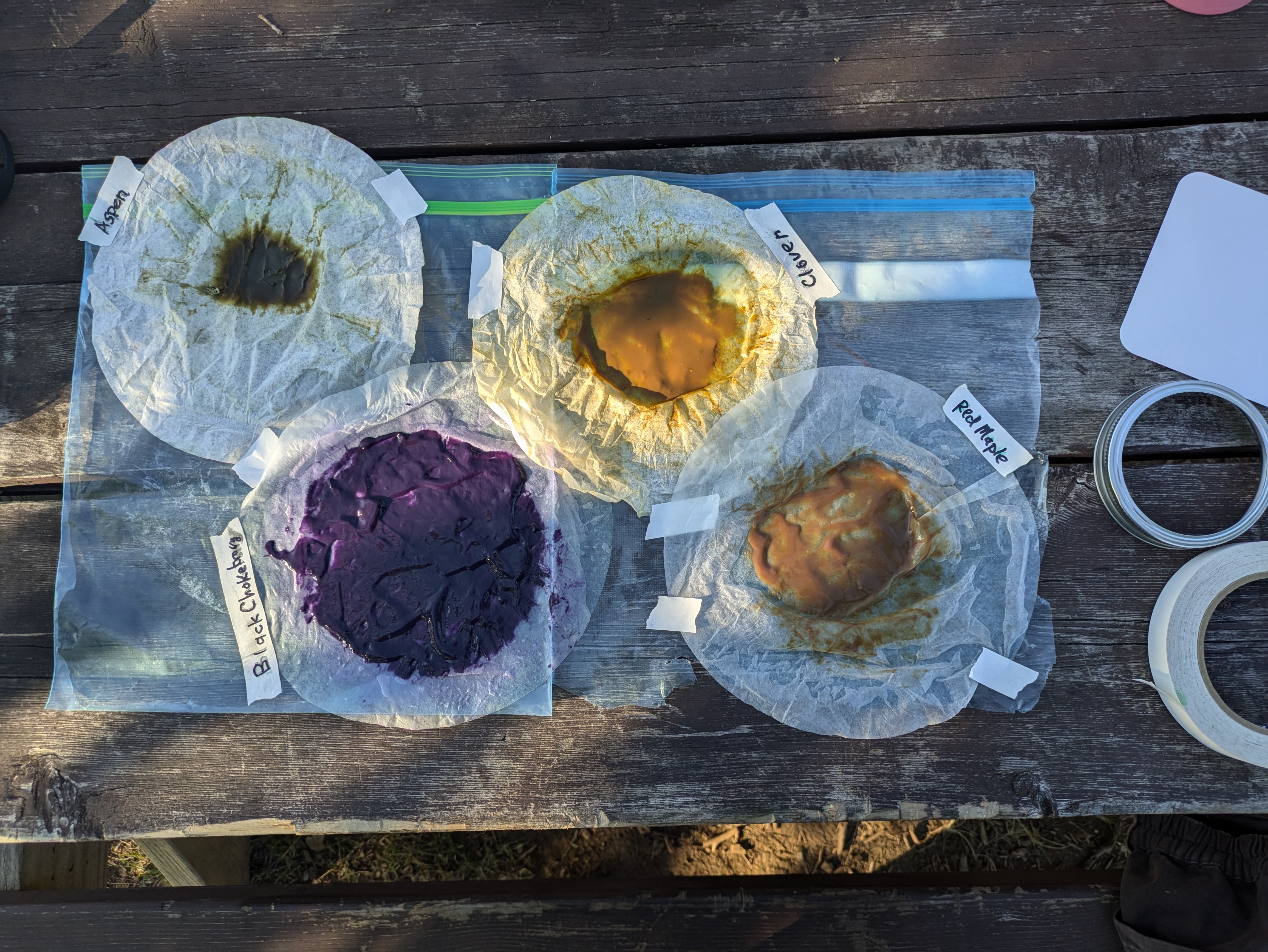 Native Pigments