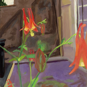 Red columbines grow by the stoop (2025)