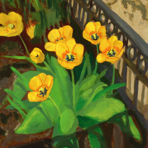 Tulips brighten a tree bed (2025)